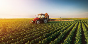 AGRI & FISHERY